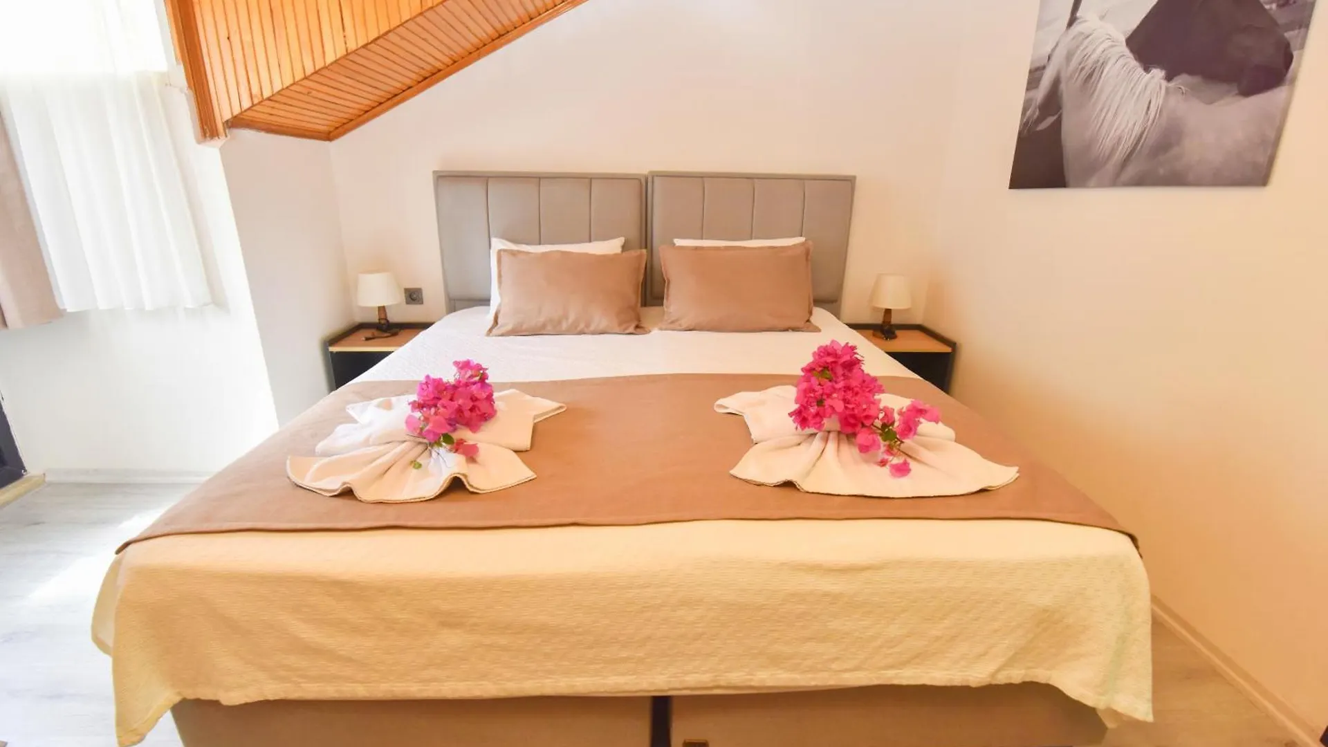 Royalis Boutique Suites By Mykonut Fethiye 3*,